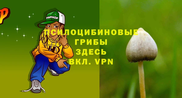молекула духа Зерноград