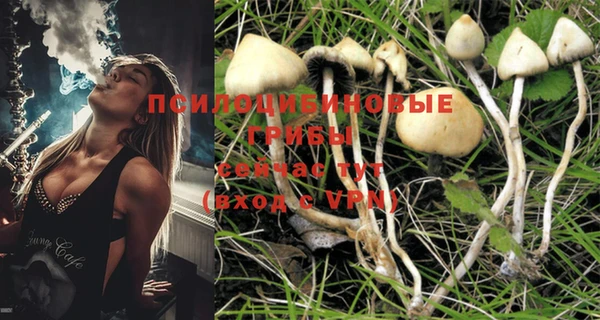 молекула духа Зерноград