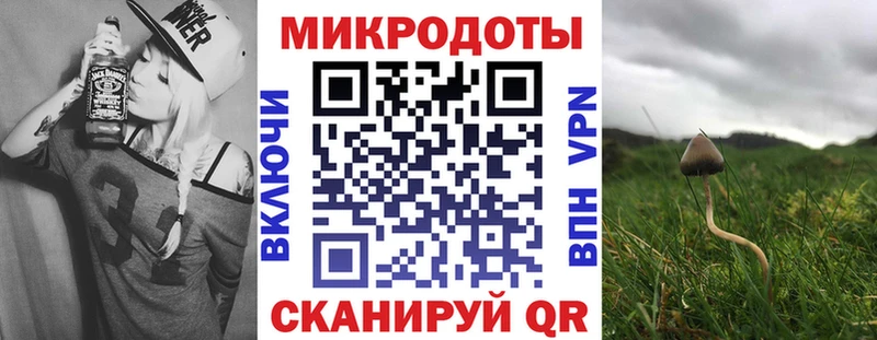 Галлюциногенные грибы мицелий  сайты даркнета как зайти  Зеленодольск 